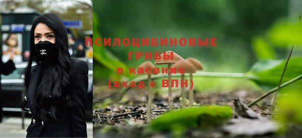 прущие крисы Богданович