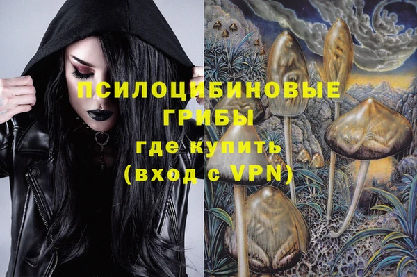 соль ск Верея