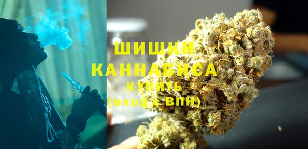СК Богородск