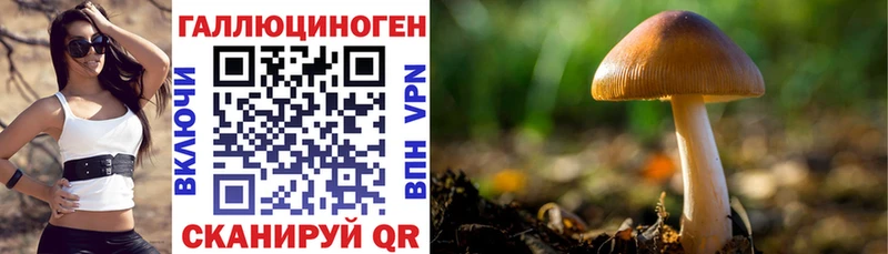 Псилоцибиновые грибы мицелий купить наркотик mega онион Надым